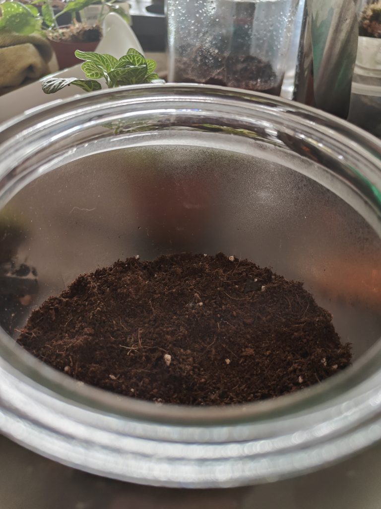 Imagen de un terrario en construcción