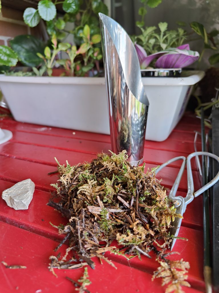 Imagen de un terrario en construcción