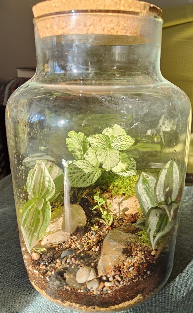 Imagen de un Terrario recuperado