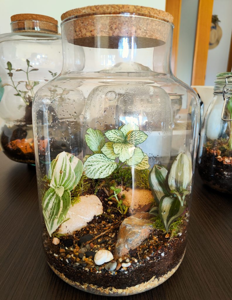 Imagen de un Terrario recuperado