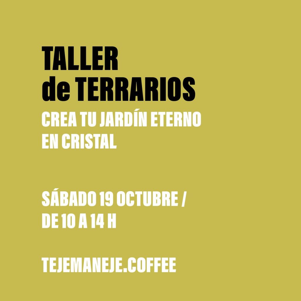 Taller Tejemaneje