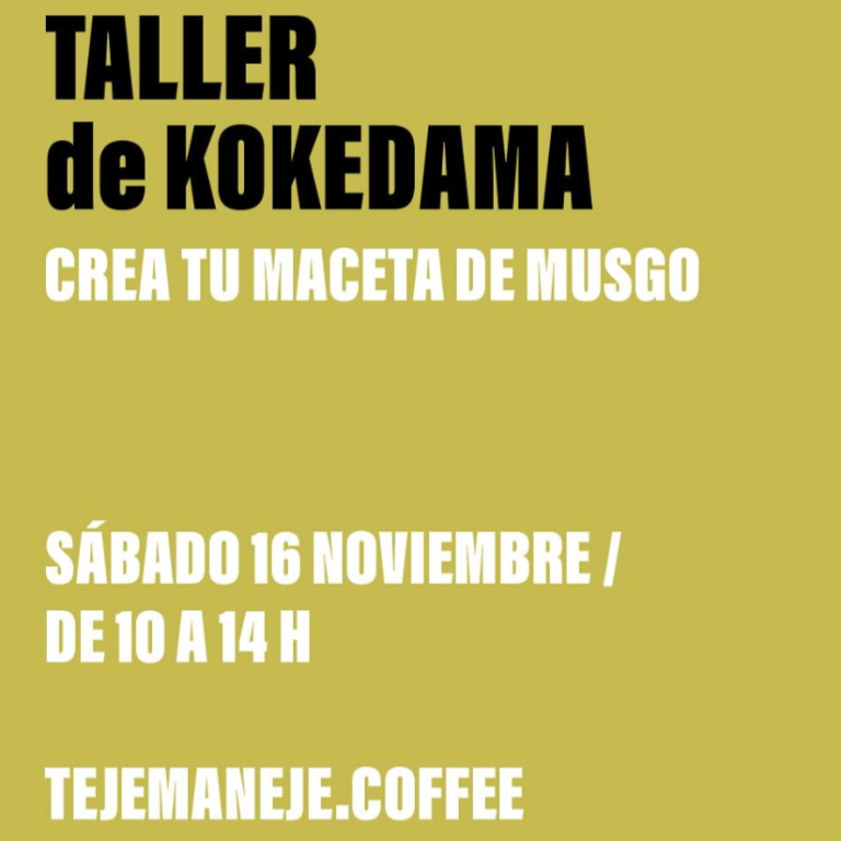 Cartel de un taller de kokedama