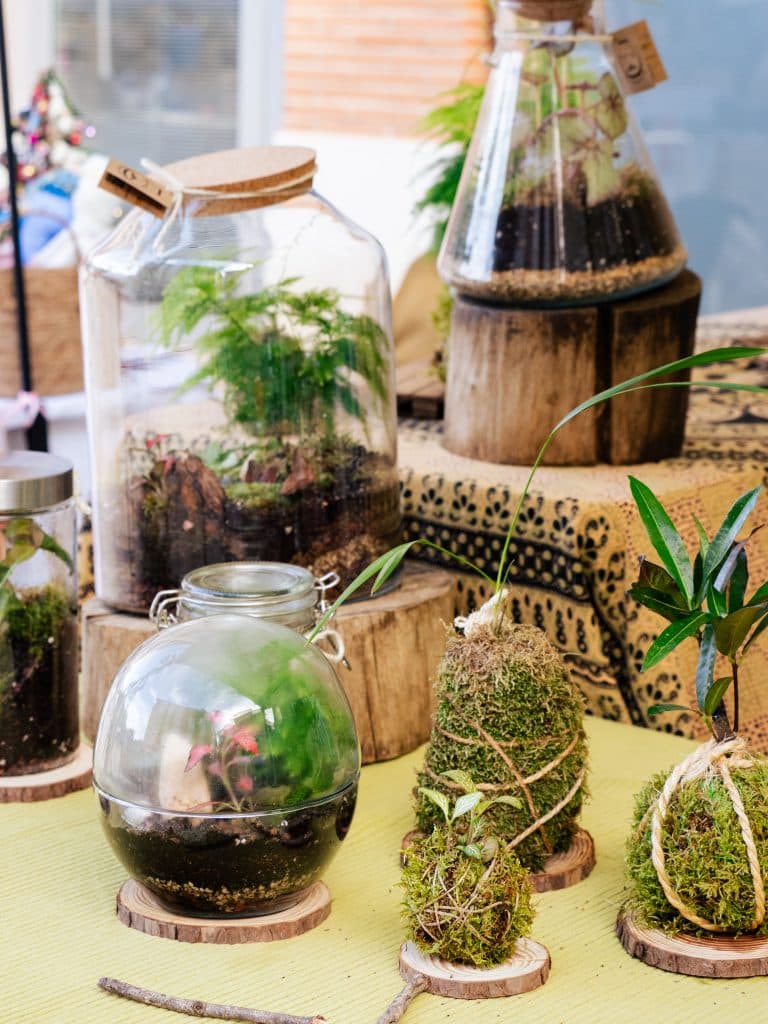 Fotos del Mercadillo plaza de la Paja.