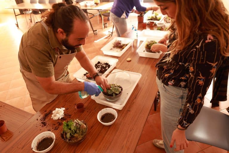 Taller de terrarios de ADC Murcia 14