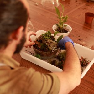 Taller de Terrarios en Murcia