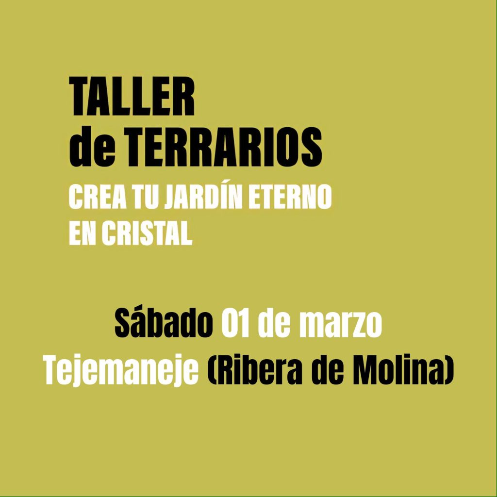 Cartel Taller IG cuadrado