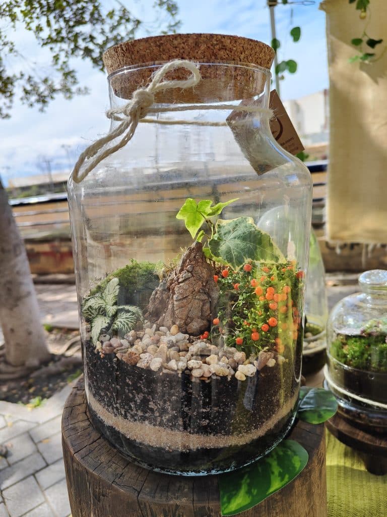 Imagen de un Terrario Garapacha