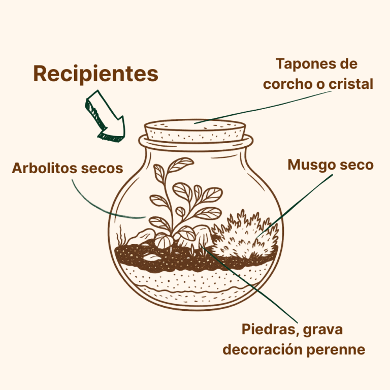 reciclaje esquema