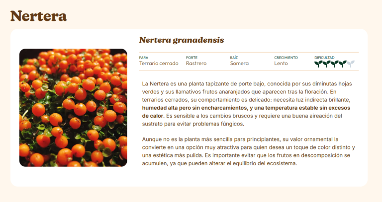 Imagen de una ficha de plantas