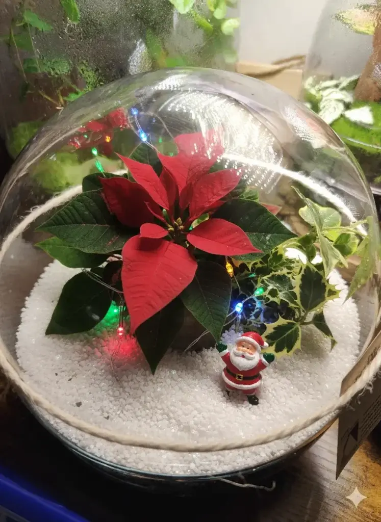 Imagen de un taller de terrarios Navideños