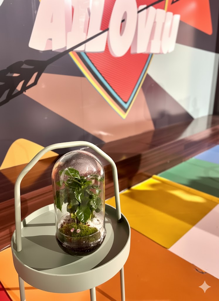 Foto del progama AILOVIU de la 7 con un terrario de El Terrarista