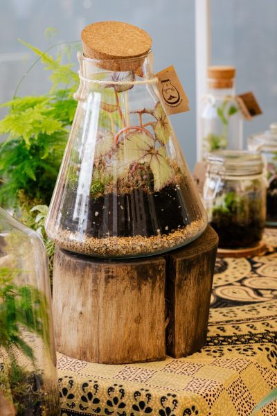 Mercadillo plaza de la Paja 8