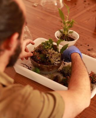 Taller de terrarios de ADC Murcia 8